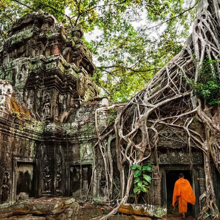 Ta Prohm : Là où la nature embrasse l'architecture ancienne